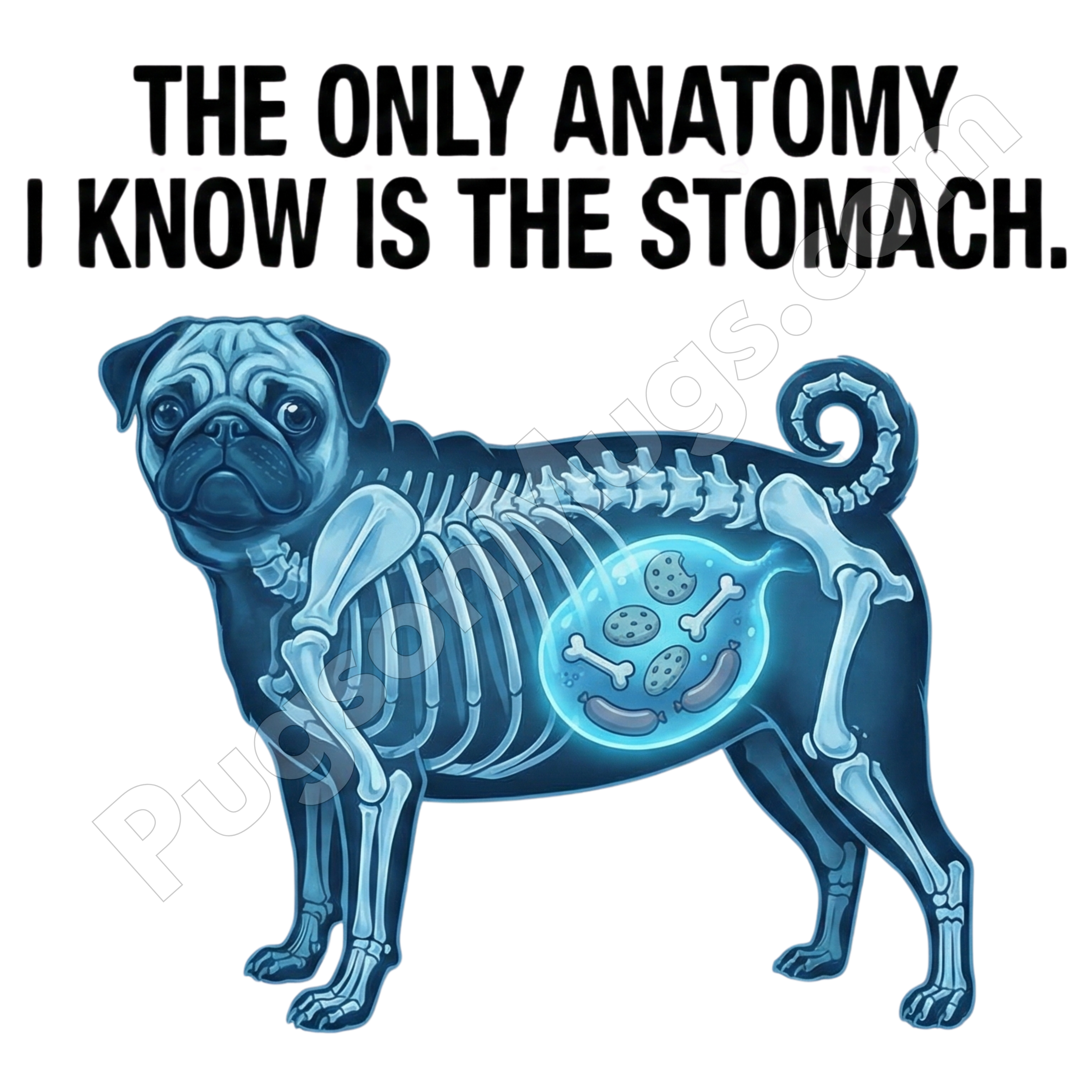 "Pug Anatomy X-Ray" – Funny Veterinary & Biology Mug