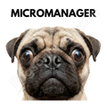 "The Micromanager" – Funny Work From Home Mug