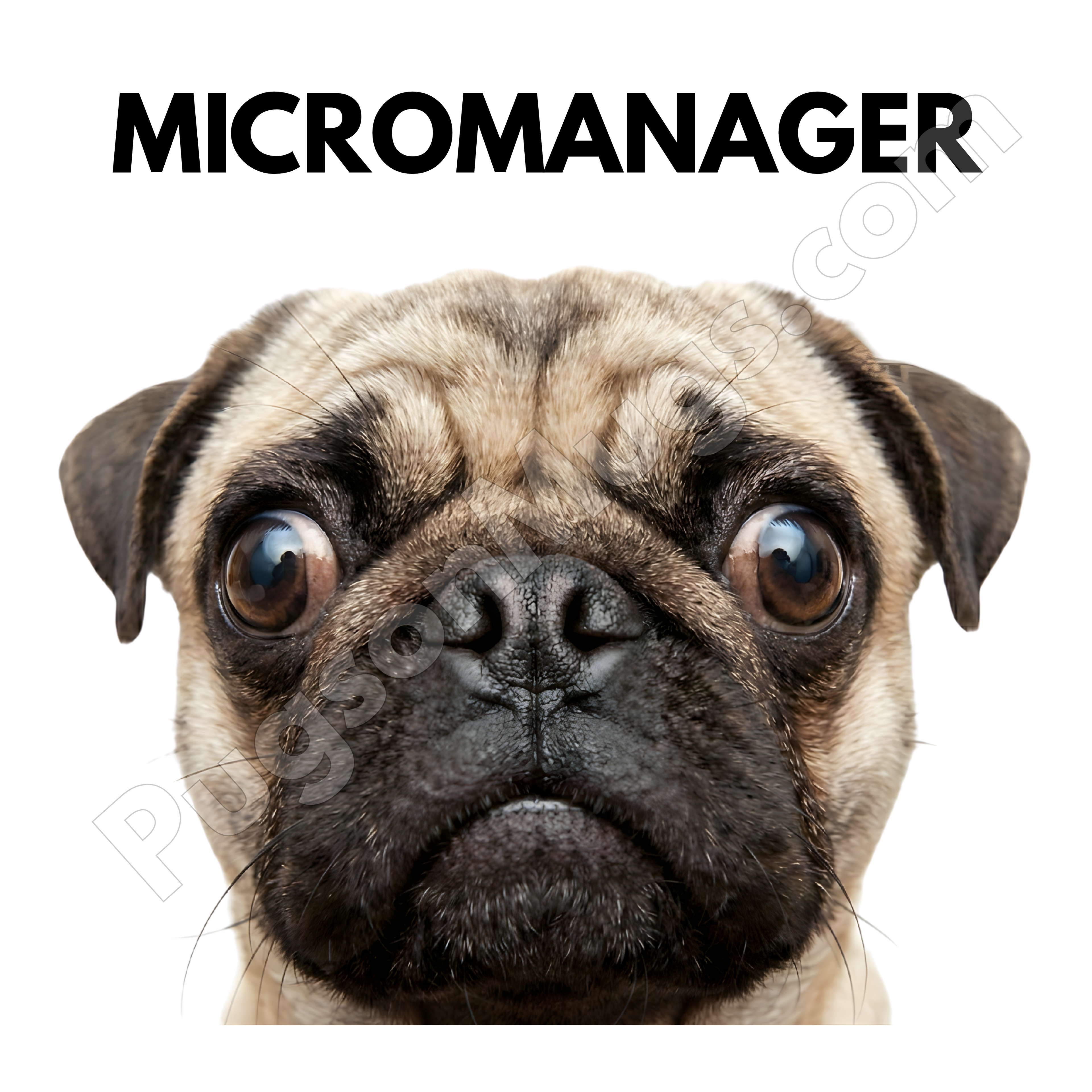 "The Micromanager" – Funny Work From Home Mug