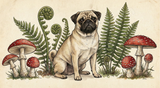 "The Forest Forager" – Vintage Mushroom & Fern Pug Mug
