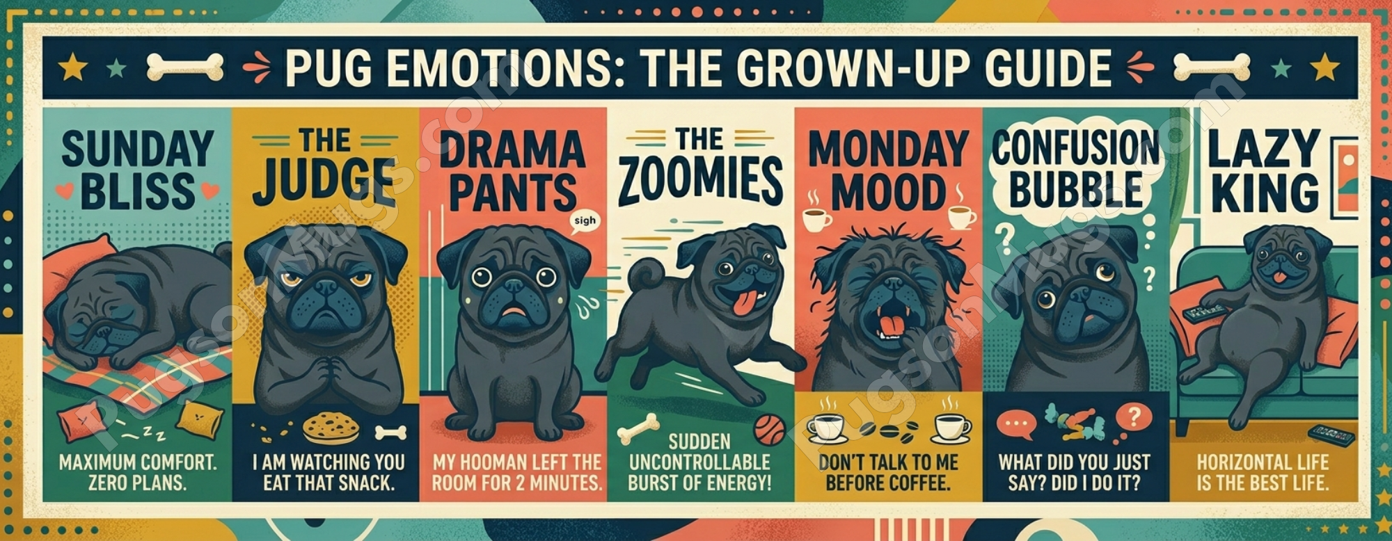 Pug Emotions: The Grown-Up Guide | Infographic Ceramic Coffee Mug
